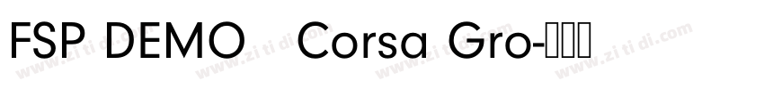 FSP DEMO   Corsa Gro字体转换